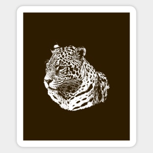 Jaguar portrait Sticker